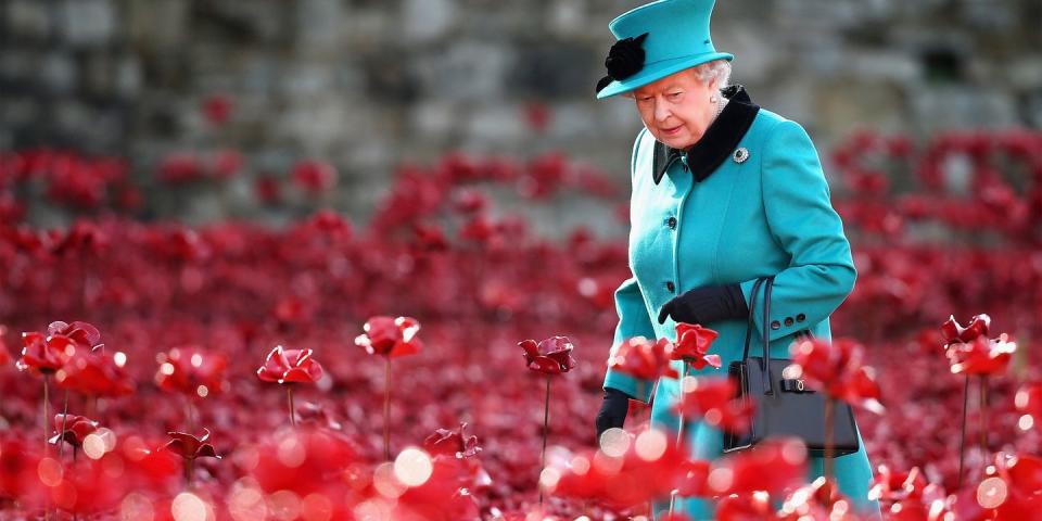 <p>The queen visited the Blood Swept Lands and Seas of Red art installation, which features over 888,000 red poppies at the Tower of London. </p>