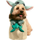 <p>The only thing more precious than Baby Yoda is your dog dressed as Baby Yoda. </p> <p><strong>Buy it!</strong> The Child Walking Dog Costume, $29.99; <a href="https://prf.hn/click/camref:1100l5eMx/pubref:polifemostpopulardogcostumeskbenderoct20/destination:https%3A%2F%2Fwww.chewy.com%2Frubies-costume-company-child-walking%2Fdp%2F253363" rel="nofollow noopener" target="_blank" data-ylk="slk:Chewy.com;elm:context_link;itc:0;sec:content-canvas" class="link ">Chewy.com</a></p>