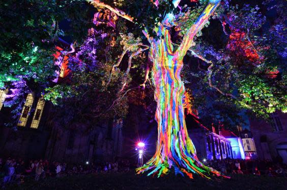 The illuminated Liberty Tree in the town of Bayeux (P Le Bris Bayeux Bessin Tourisme)
