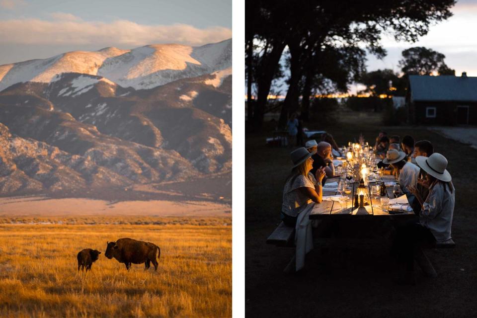 Zapata Ranch in Southern Colorado, bison standing in a field with mountains in the background. And a group of ranch guests having family style dinner outside