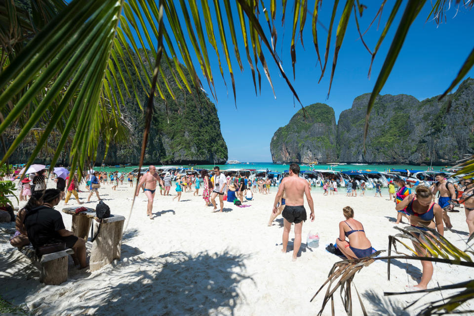 MAYA BAY, THAILAND - NOVEMBER 12, 2014: Crowds of sunbathing visitors enjoy a day trip at the iconic beach at Maya Bay.