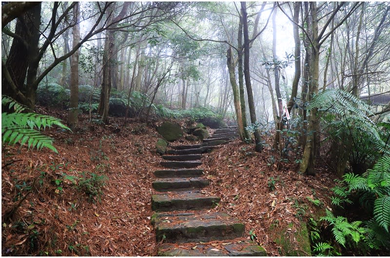 台北｜內湖採草莓，順遊大崙頭山小百岳、白石湖吊橋及碧山巖