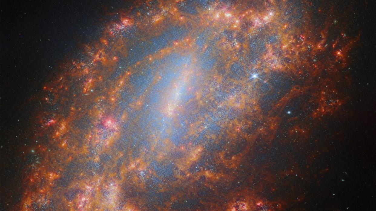 Barred spiral galaxy NGC 1559 as observed by the NASA/ESA/CSA James Webb Space Telescope.