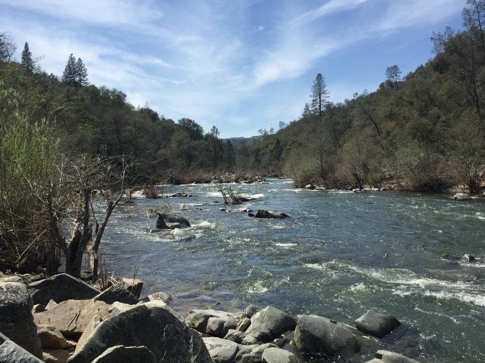 Mokelumne River flowing with spring runoff, near Highway 49.