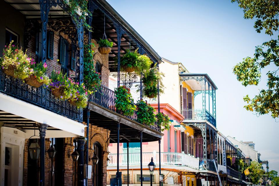 Potted Plants In Balcony Of Building At French Quarter