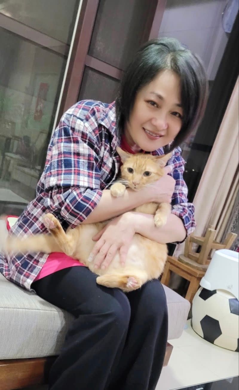 ▲林小樓和收養的流浪貓合照，她說平常也會接到朋友任務要去野外營救剛出生的貓咪。（圖／民視提供）