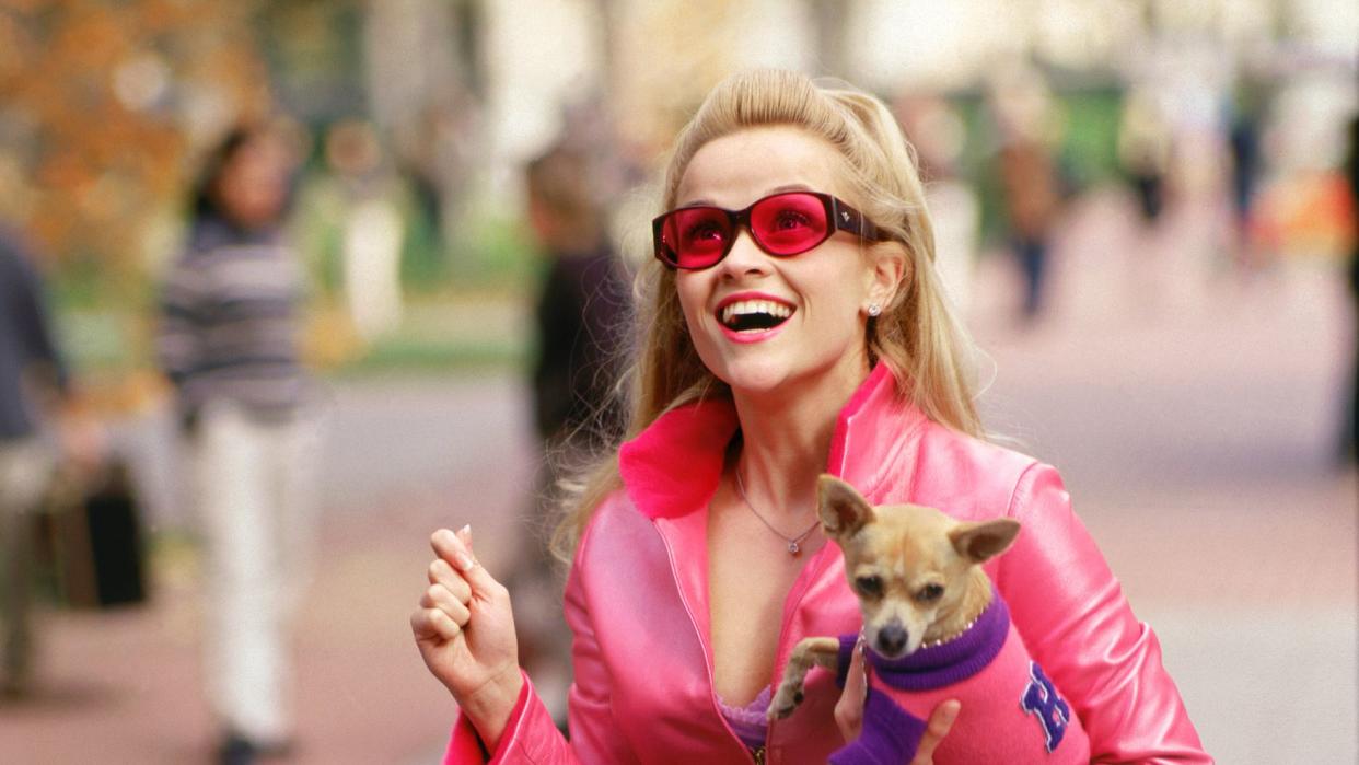 elle woods legally blonde halloween costume