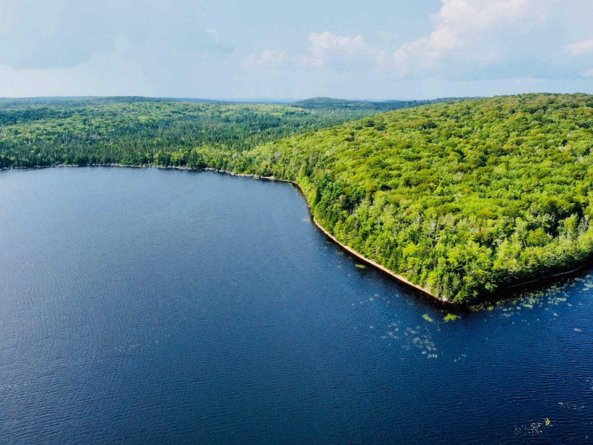 An aerial view of Archibald Lake. (Canadian Parks and Wilderness Society - image credit)