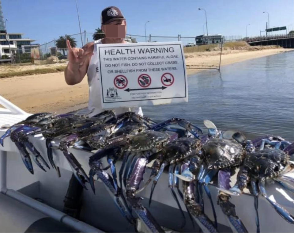 A man and his crabs