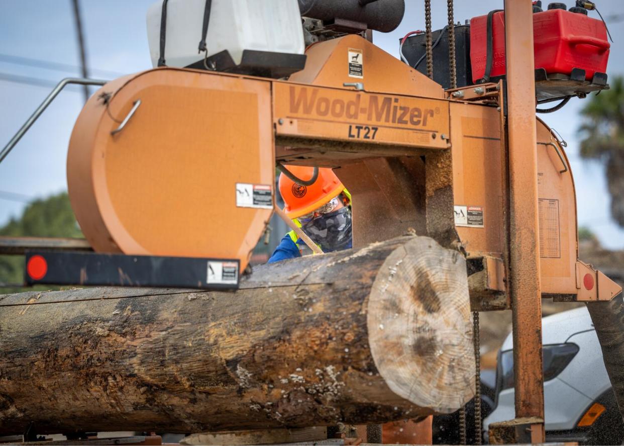 A worker in an orange hard hat can be seen through an opening in a lumber milling machine.