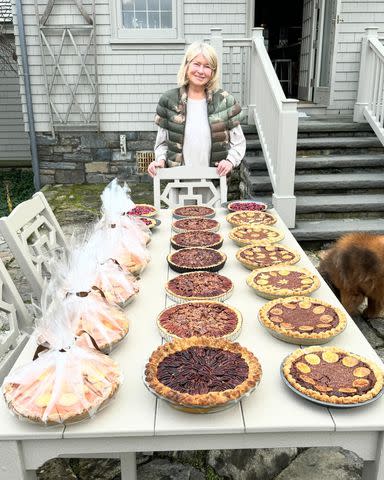 <p>Martha Stewart/ Instagram</p> Martha Stewart's Thanksgiving pies