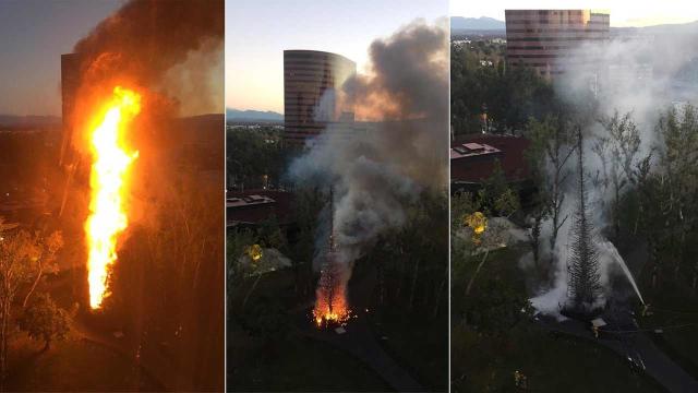 PHOTOS: 96-foot-tall Christmas tree goes up in flames outside hotel