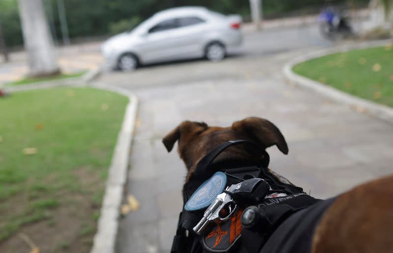 FOTO DE ARCHIVO: Un perro de rescate convertido en mascota de la policía se ha convertido en una de las sensaciones peludas más queridas de Brasil en Internet