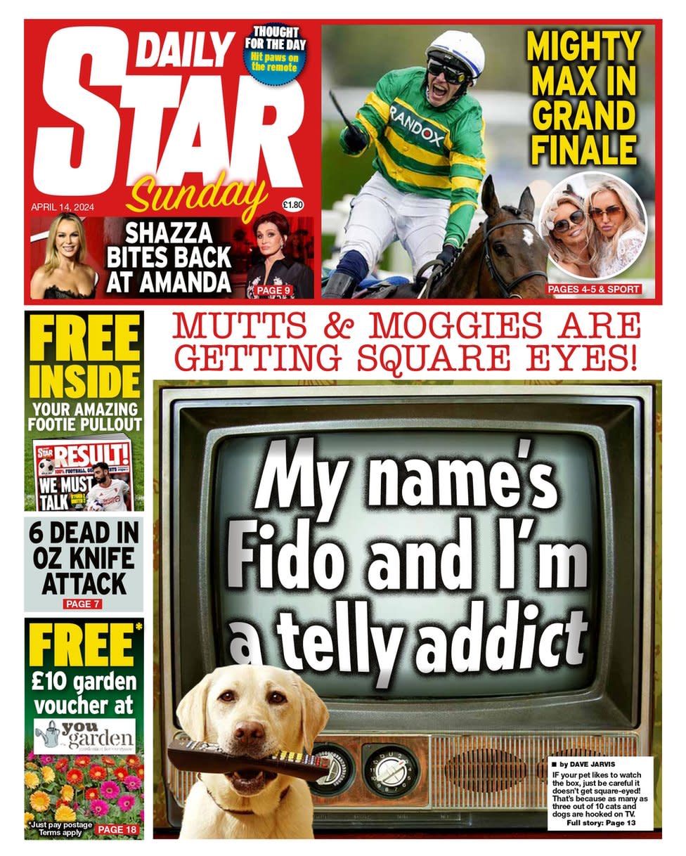 Daily Star headline reads: 'My Names Fido and I'm a telly addict'