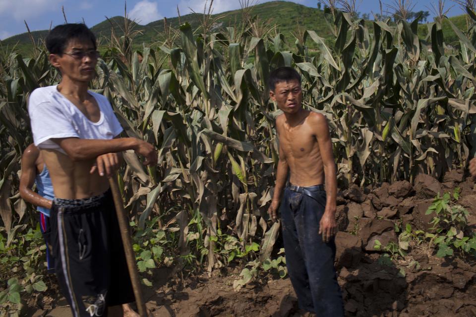 FILE- In this Aug. 13, 2012 file photo, North Korean men stand next to a field which was damaged by July flooding in Songchon County, North Korea. It has been a tough year for North Korea's farmers, who grappled with an extended dry spell in the spring, followed by heavy rains from a series of summer storms and typhoon. The U.N. is launching a field mission across North Korea to gauge the state of the food situation. (AP Photo/David Guttenfelder, File)