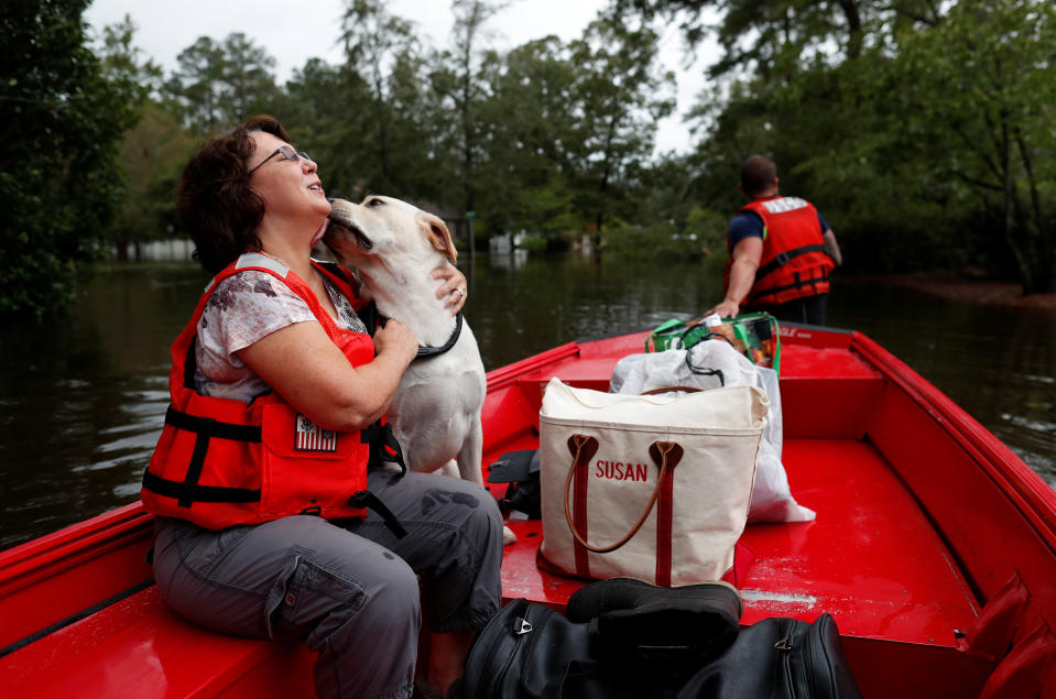 Saving pets after Hurricane Florence