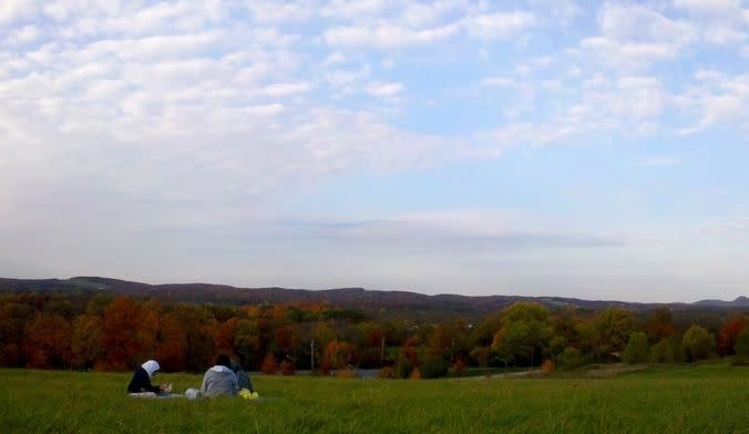 28) Masker Orchards, New York