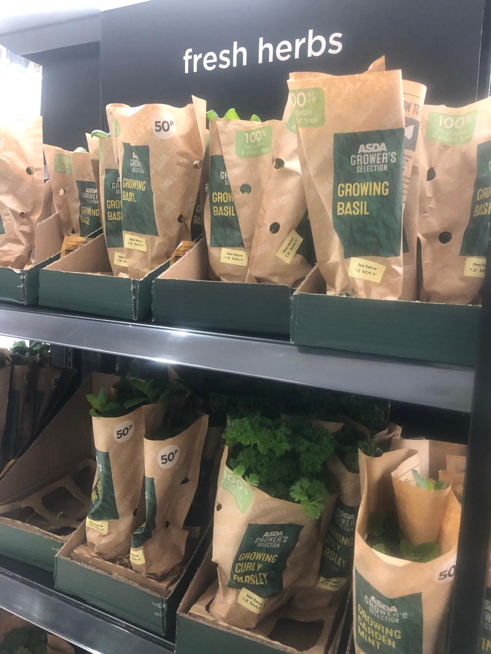 Fresh herbs sit on shelves in grocery store