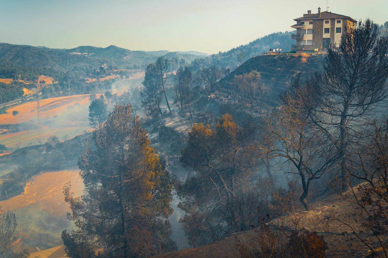 Paisaje en Manresa (Cataluña, España) tras un incendio en julio de 2022. <a href="https://www.shutterstock.com/es/image-photo/smoke-fires-rises-countryside-bufalvent-catalonia-2185517531" rel="nofollow noopener" target="_blank" data-ylk="slk:Davide bonaldo / Shutterstock;elm:context_link;itc:0;sec:content-canvas" class="link ">Davide bonaldo / Shutterstock</a>