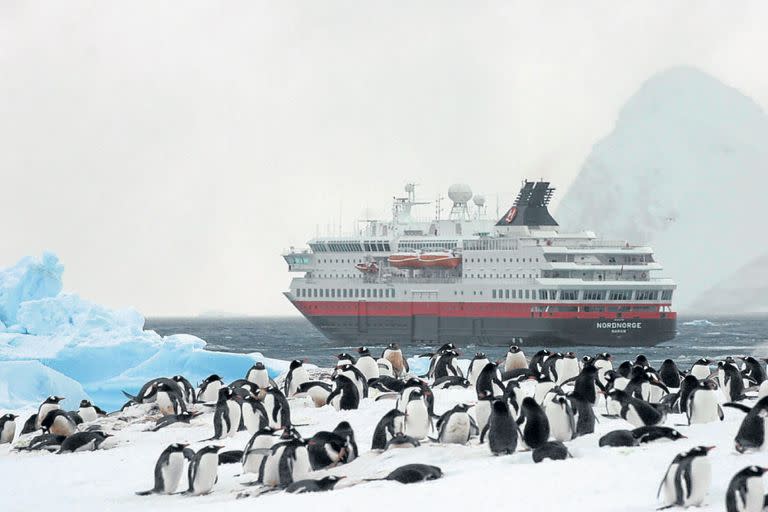 Postal antártica: pingüinos y un gran paisaje helado.
