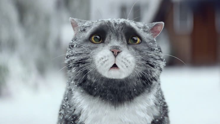 <p>Sainsburys brought back Mog the cat for their advert, and it shows the long-suffering kitty save his loving family from a devastating house fire on Christmas day.<br>Try and watch the Thomas family's neighbours show up to give them the Christmas that they deserve without shedding a tear or two, we dare you.</p>