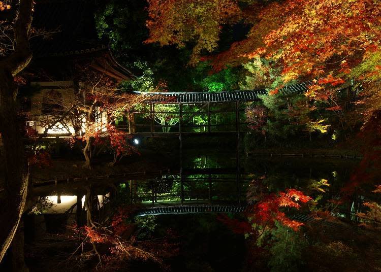 ※照片提供：高台寺