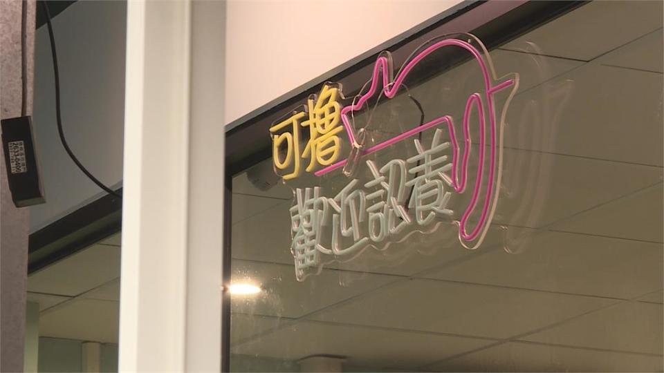 施工範圍釀認知落差？寵物店親筆信獨家曝光　2樓鄰"口頭簽字承諾"成羅生門