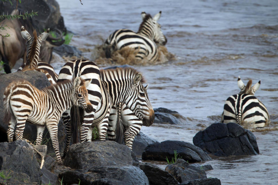 Crossing the river