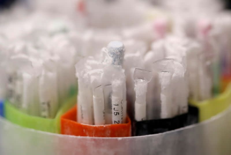 FILE PHOTO: Frozen vials of sperm are seen preserved in an azote cooled container in a laboratory in Paris