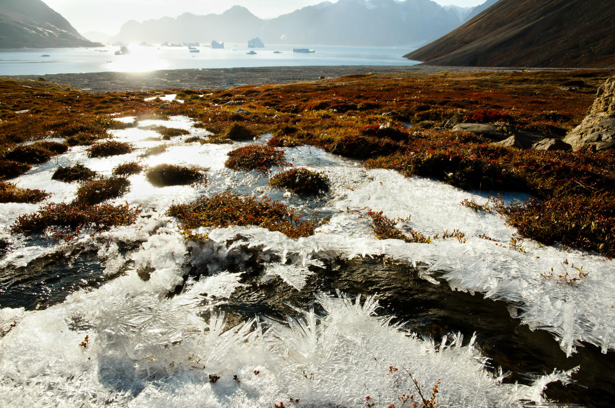 Sun Glare Frost