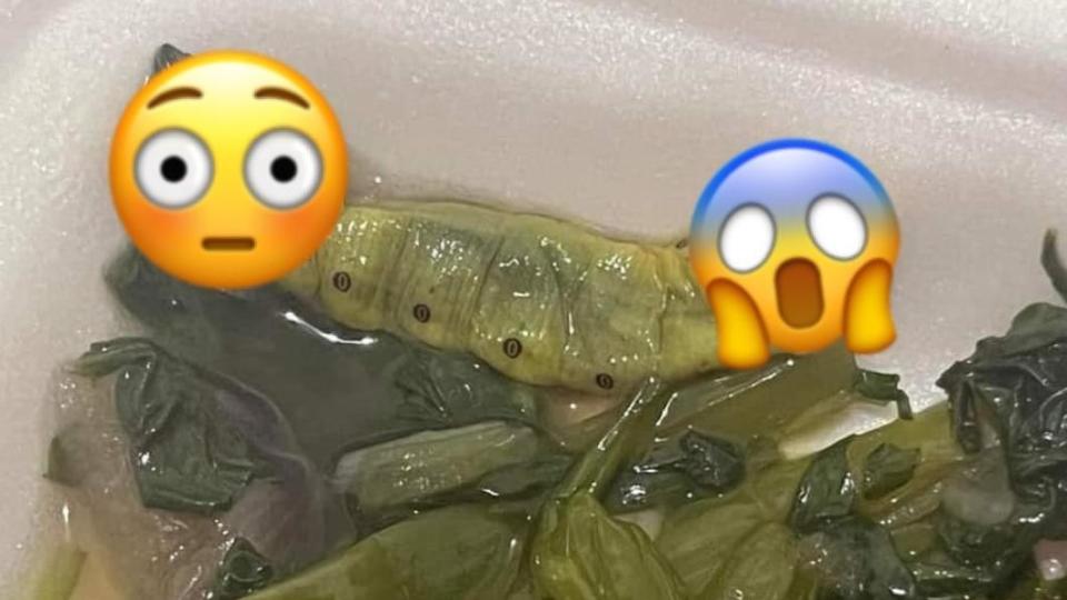 自助餐裡的巨型豌豆莢嚇壞網友。（圖／翻攝自臉書「爆廢公社」）