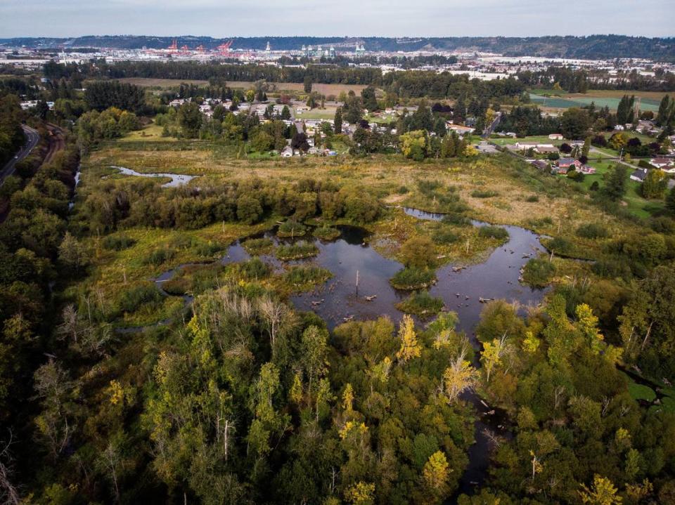 A aerial view of the Upper Clear Creek Mitigation Site in Puyallup, Wash. The 45-acre wetland is designed to attract birds and insects to help create a space for salmon development.