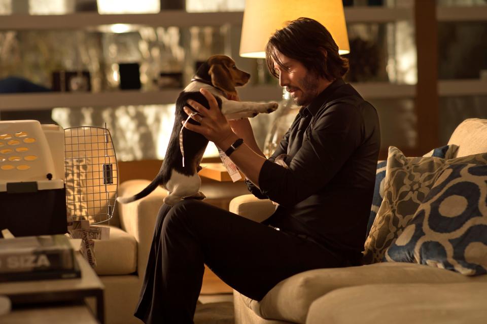 Keanu Reeves' title character bonds with a beagle puppy before tragedy strikes in the original "John Wick."