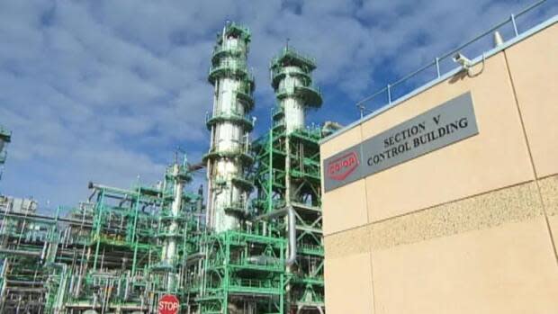 The Co-op Refinery Complex has about 1,000 employees and says it will lay off about 54 to stay sustainable. The union representing Co-op workers says the layoffs are not needed. (CBC - image credit)