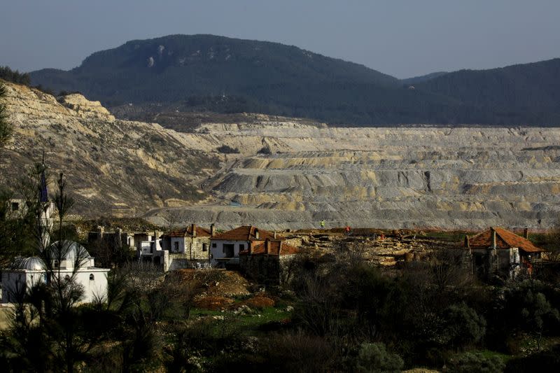 The Wider Image: Turkish olive farmer battles to save her land from coal mine