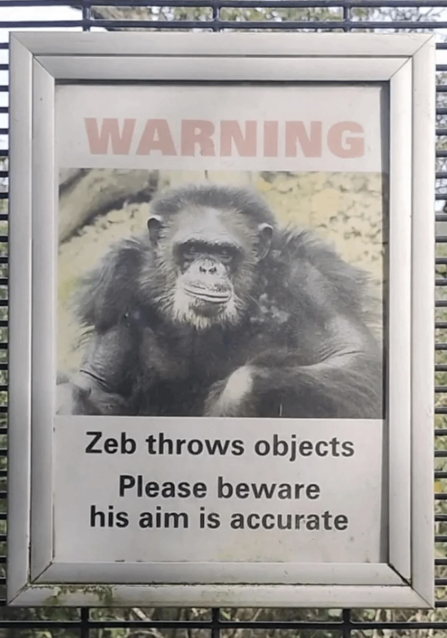 Sign with a photo of a chimpanzee named Zeb. Text reads: 