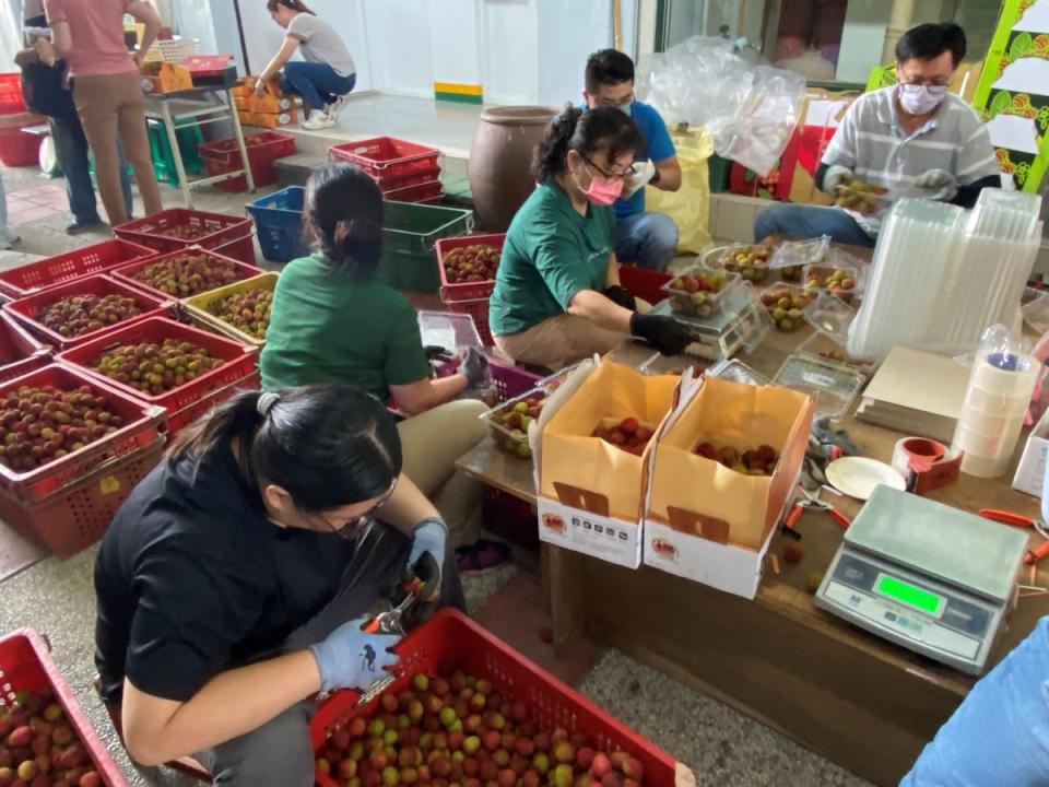 大樹姑山倉庫人員忙著整理、包裝玉荷包，再宅配到消費者手上。（圖：溫蘭魁報導）