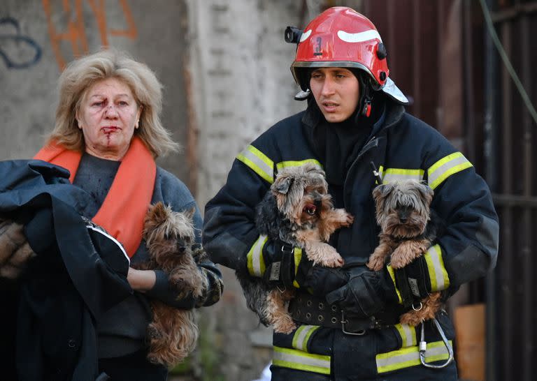 Un bombero evacua los perros de una señora cuyo edificio fue bombardeado en Kiev, el 10 de octubre de 2022