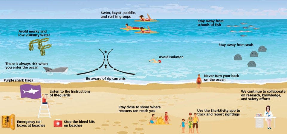 Beach safety tips from the Cape Cod National Seashore.