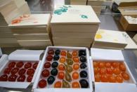 Boxes of glace fruits to export to London's upmarket department store Fortnum & Mason are seen at the Cruzilles factory in Clermont-Ferrand