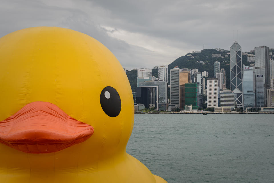 The 16.5-metre-tall inflatable Rubber Duck art installation is seen at the Victoria Harbour in Hong Kong on May 2, 2013. The inflatable duck by Dutch artist Florentijn Hofman will be on display in the former British colony until June 9.  AFP PHOTO / Philippe Lopez (Photo by Philippe LOPEZ / AFP) (Photo by PHILIPPE LOPEZ/AFP via Getty Images)