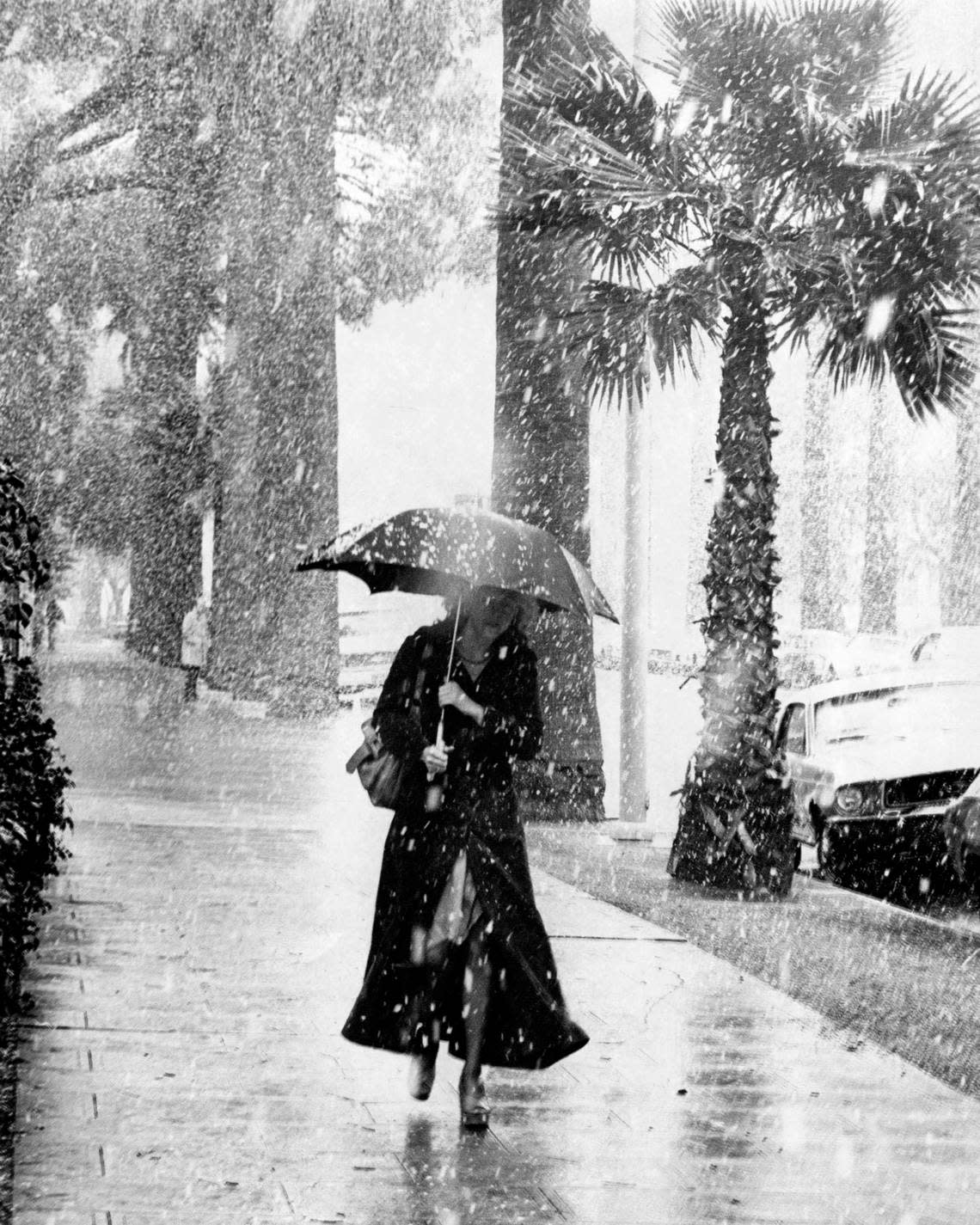 A Sacramento resident tries to get some protection from the weather as snow falls amid downtown Sacramento palm trees on Feb. 5, 1976. Harlin Smith/Sacramento Bee file