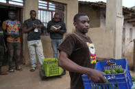 A farmer carries a crate of avocados at a plantation in Kayanza province, Burundi, Sept. 18, 2024. (AP Photo/Brian Inganga)