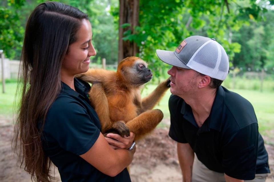 Bre Anderson, staff manager at Wild Acres, holds Kiki as Kiki touches Cody Breland, owner of Wild Acres, outside his enclosure at Wild Acres in McHenry on Thursday, July 6, 2023. Kiki was blind until a corrective surgery repaired his eyesight.