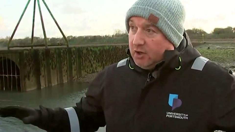 Professor Alex Ford has warned about the state of UK oceans (ITV/Good Morning Britain)