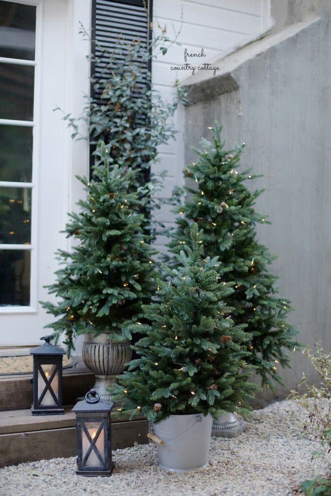 22) Create a Front Porch Forest