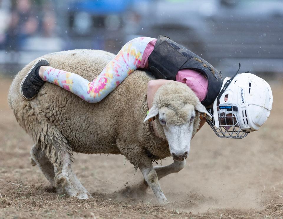 Elouise Zwick, 5, of Minerva, compete in the kids Mutton Busting event at the Minerva Chamber Rodeo. 