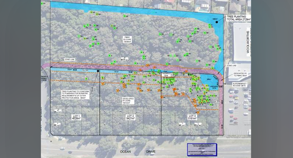 The developer has been permitted to remove 23 habitat trees from the site. Source: Port Macquarie Council