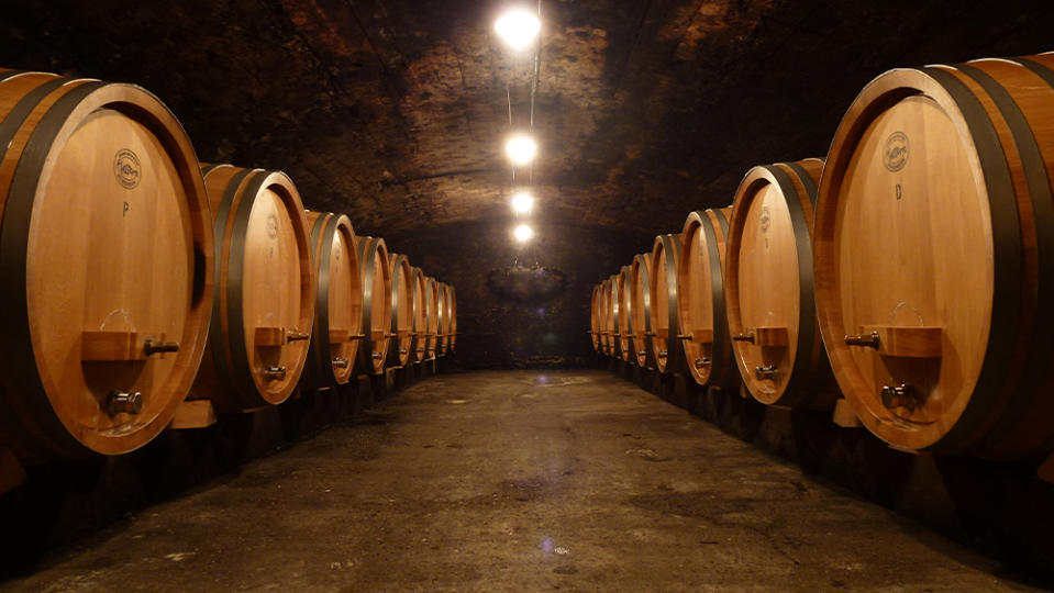 Aging the wines in barrel