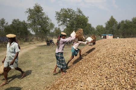 FILE PHOTO: Construction workers stack stones on the island of Bhasan Char in the Bay of Bengal, Bangladesh February 14, 2018. REUTERS/Stringer/File Photo